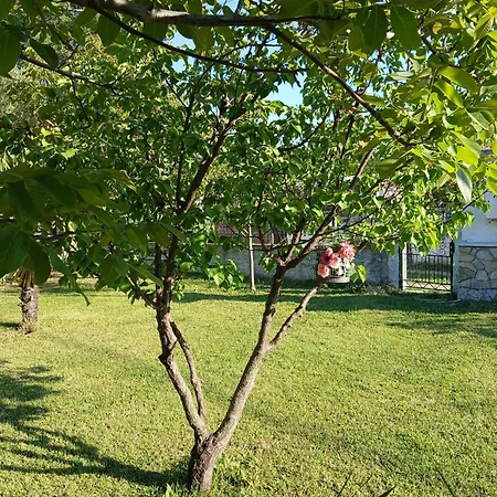 Kanela House Nea Kallikrateia Exterior photo