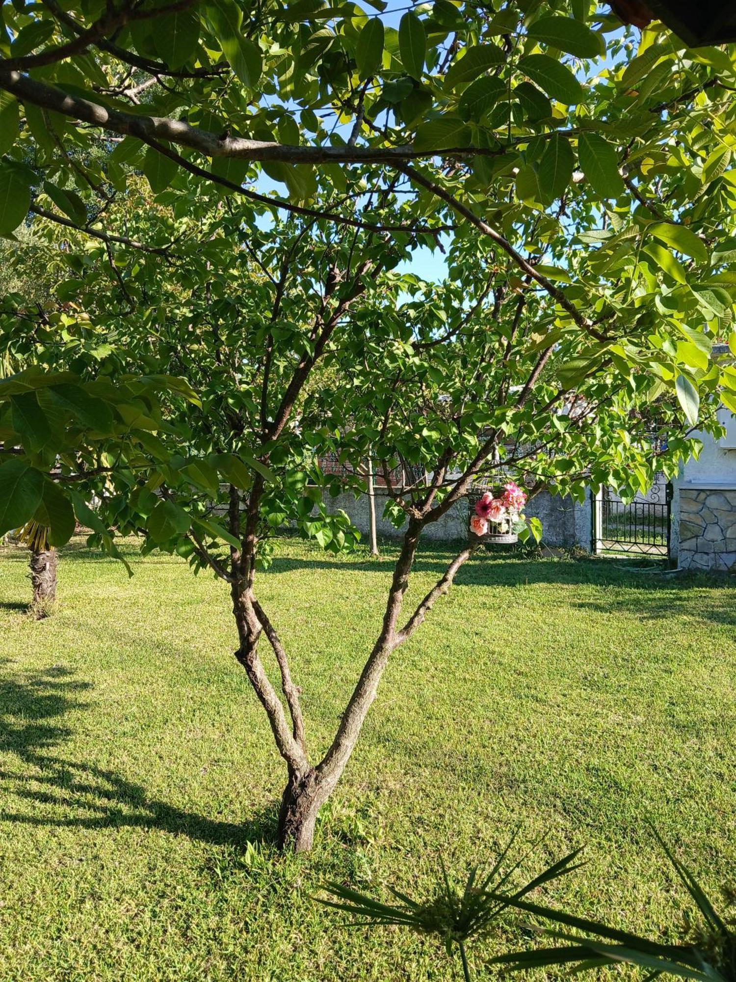 Holiday home Kanela House Nea Kallikrateia